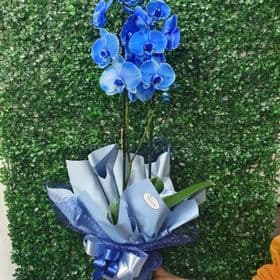 thumb-orquidea-azul-tela-1