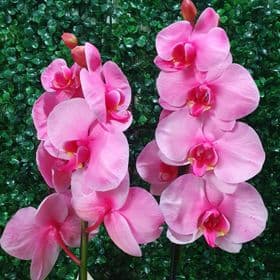 thumb-orquidea-rosa-com-juta-0